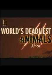 世界致命动物：非洲