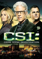 犯罪现场调查第十四季CSI:CrimeSceneInvestigationSeason14