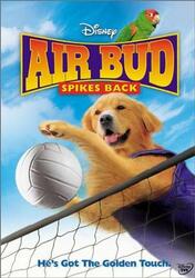 飞狗巴迪5：排球健将AirBud:SpikesBack