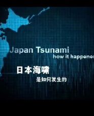 日本海啸是如何发生的